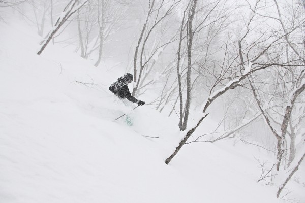 Nozawa Onsen regular Glenn King skis the powder amongst the trees.