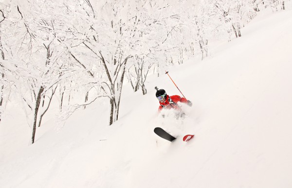 Musse floats through deep powder in the trees at Nozawa Onsen.