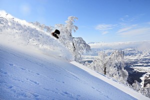 Nozawa Onsen Snow Report