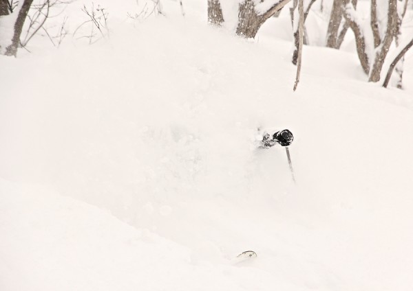 Glenn King gets well and truly buried in the Nozawan powder 