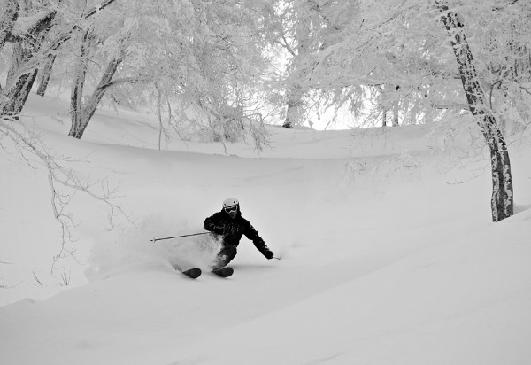 Gabriel enjoys a run through the powder under the trees in Nozawa.