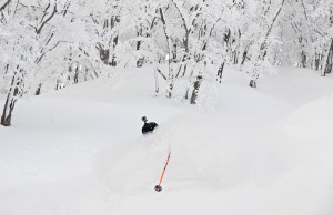 Nozawa Snow Report 03 March 2015 - Increasing cloud today