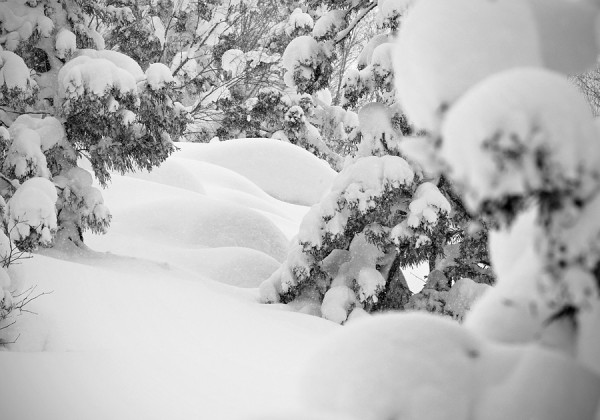 Put yourself in the picture. Nozawa Onsen pillow line.