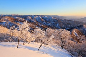 Nozawa Snow Report 07 March 2015 - Perfect Spring Weather