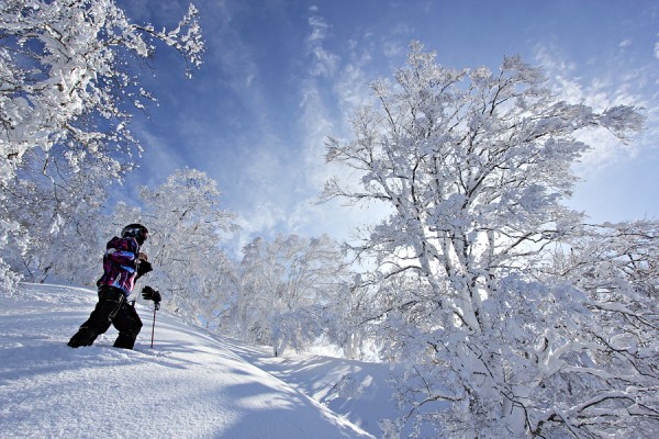 Exploring tree lined chutes in Nozawa Onsen.