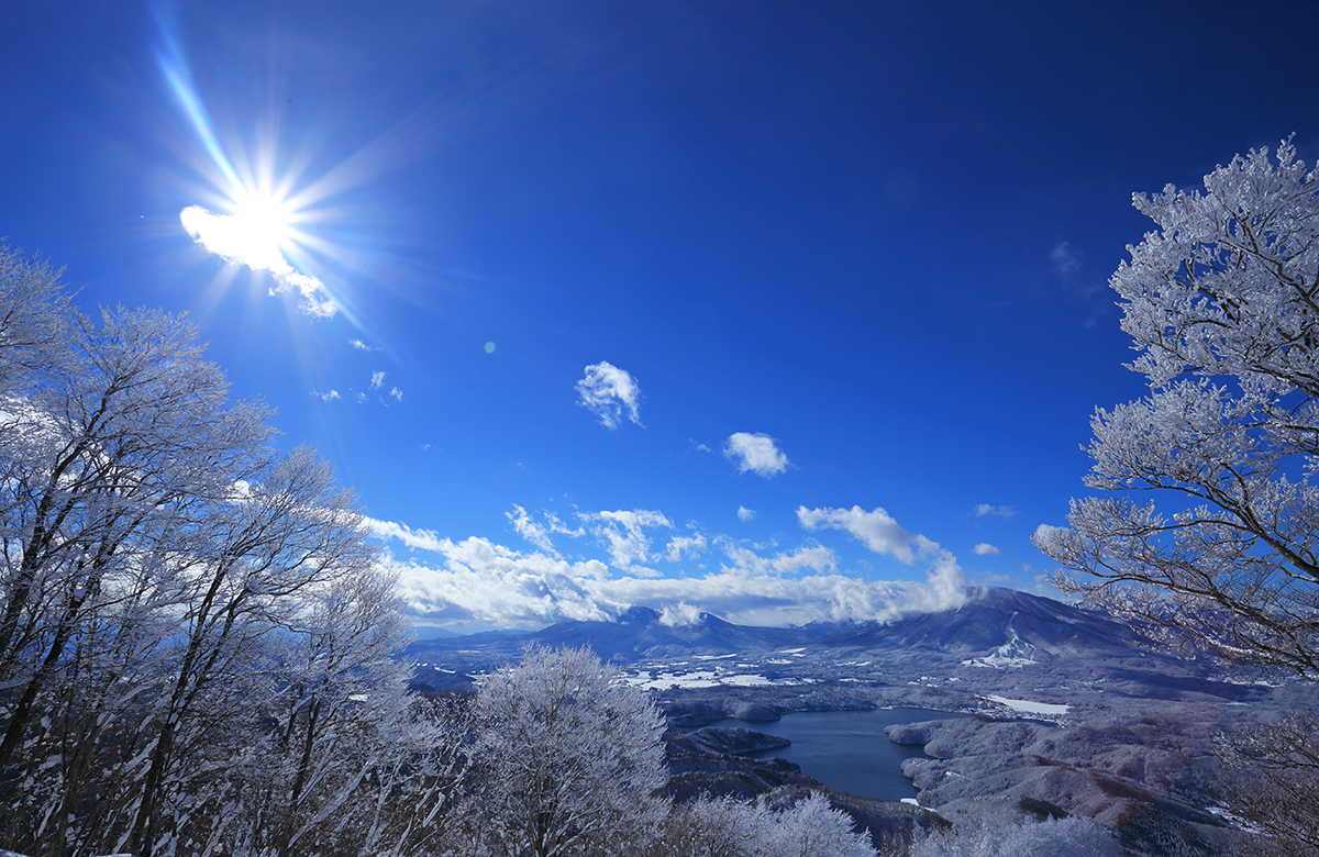Nozawa Onsen Snow Report 12 January 2014: Overnight dump expected