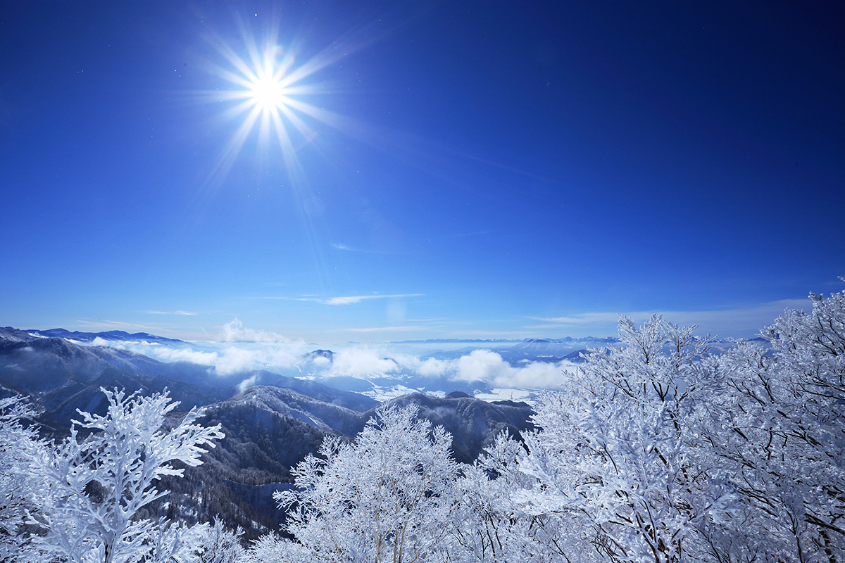 Nozawa Onsen Snow Report 28 January 2014: