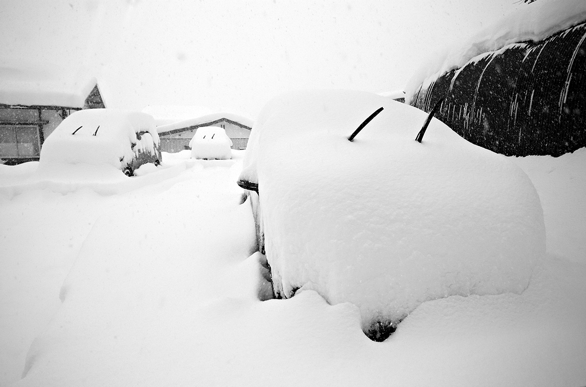 Nozawa Onsen Snow Report 20 January 2014: 88cm in the past 24 hours