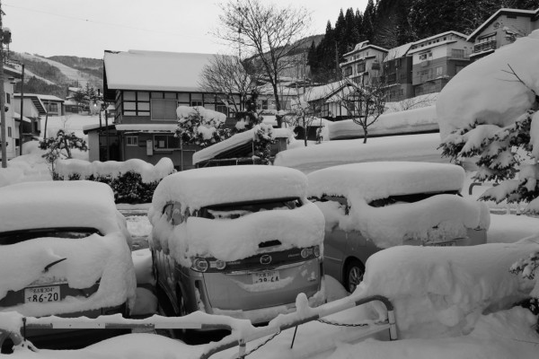 Nozawa Onsen Snow Report 02 March 2015 – 15cm of fresh powder