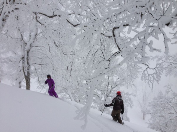 Gab and Luke from Nozawa Holidays have seen more powder days than most. They reckon today was as good as any!