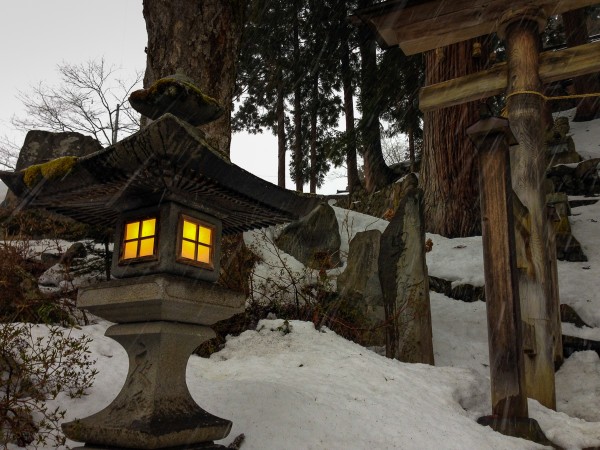 Nozawa Onsen Snow Report: 7 December 2014. Nozawa season starts today!
