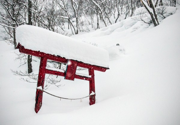 Nozawa Snow Report 6 February 2016: Here comes the snow