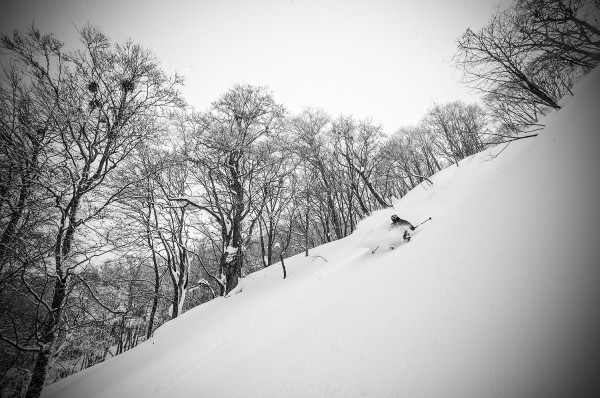 Nozawa Onsen Snow Report 16 March 2016: More snow than expected