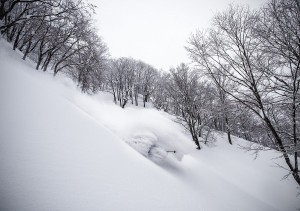 Nozawa Snow Report: 13 February 2015 - Powder Approaching!