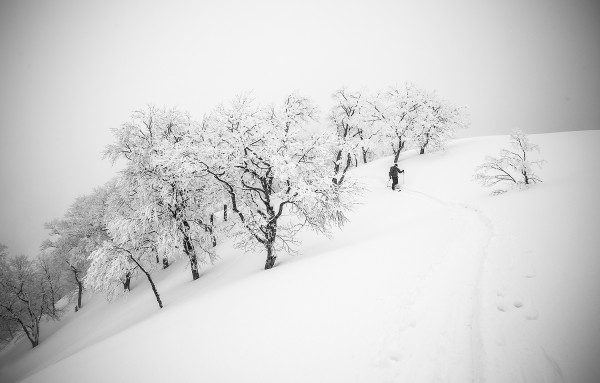 Nozawa Snow Report 12 March 2015, Unbelievable March Conditions