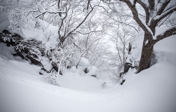 Nozawa Snow Report 11 March 2015 - Above Expectations