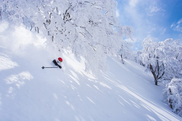 Nozawa Onsen Snow Report 13 March 2015 - Powder displacement on the cards