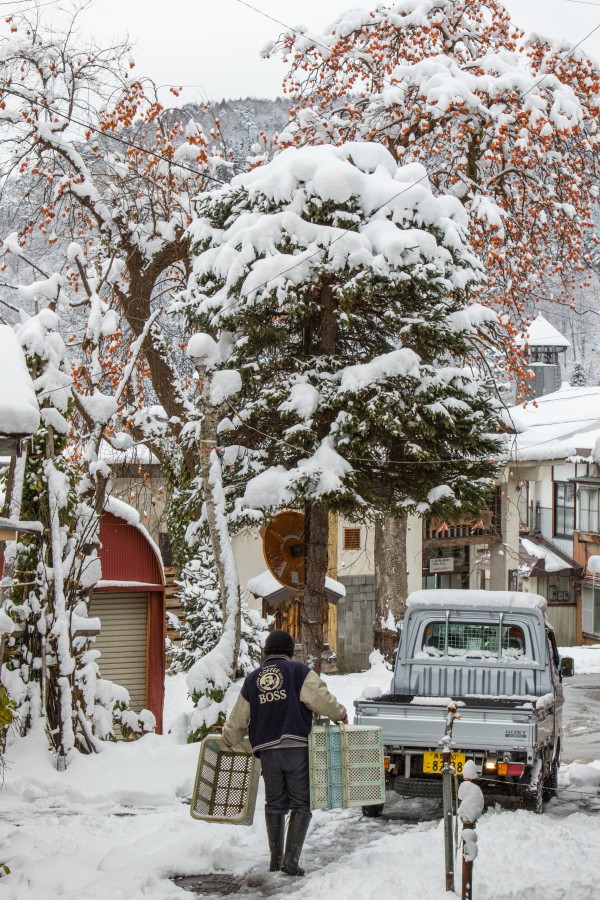 Nowaza Onsen Snow Report 18 December 2015