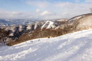 Nowawa Onsen Snow Report 2 January 2016