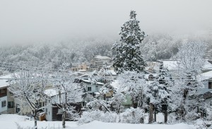 Nozawa Onsen Snow Report 8 January 2016