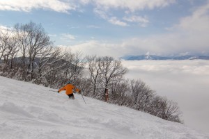 Nozawa Snow Report 9 January 2017