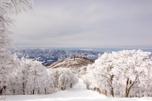 Nozawa Onsen Snow Report 28 January 2016