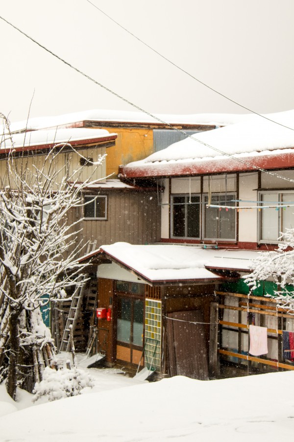 Nozawa Onsen Snow Report 15 February 2016