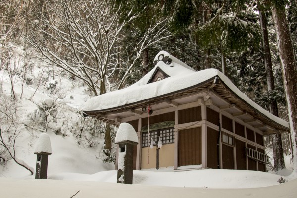 Nozawa Onsen Snow Report 11 February 2016