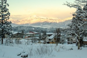 Nozawa Onsen Snow Report 16 February 2016