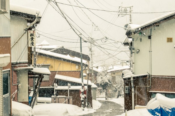 Nozawa Onsen Snow Report 24 February 2016
