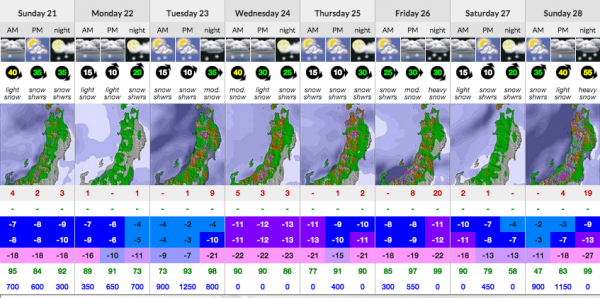 Nozawa Onsen Snow Report 21 February 2016