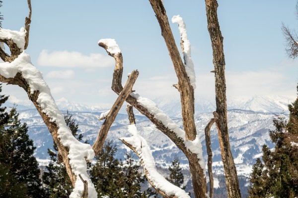 Nozawa Onsen Snow Report 27 March 2016