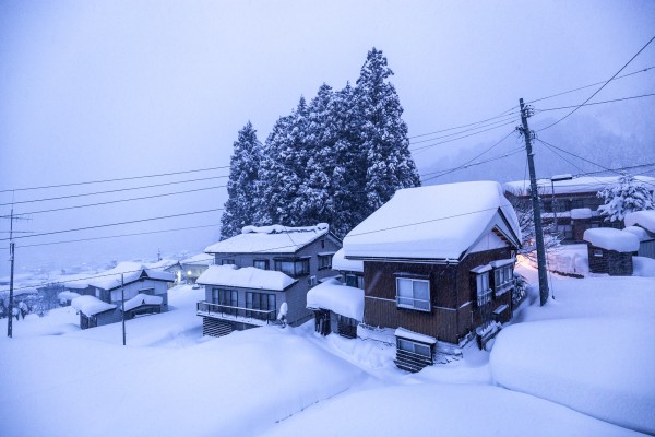 Nozawa Snow Report 22 January 2017