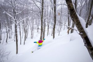 Nozawa Snow Report 6 January 2017