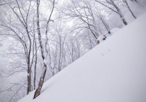 Nozawa Snow Report 4 February 2017