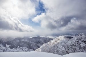 Nozawa Snow Report 20 February 2017