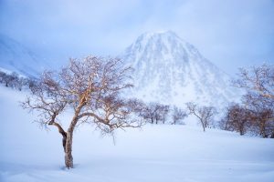 Nozawa Snow Report 11 March 2017