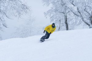 Nozawa Snow Report Wednesday 24th of January 2018